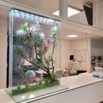 transparent glass plant panel with organic structure