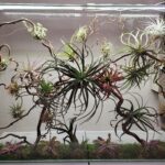 transparent glass plant panel with organic structure