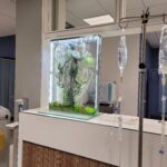 transparent glass plant panel with organic structure