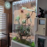 glass panel with preserved plants in architectural setting