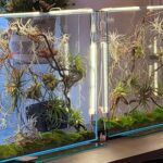 biophilic glass panel installation in interior space