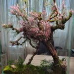 biophilic glass panel installation in interior space