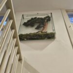 artistic plant composition inside glass panel