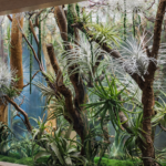 close up of preserved plants inside glass panel system