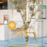 biophilic glass panel installation in interior space