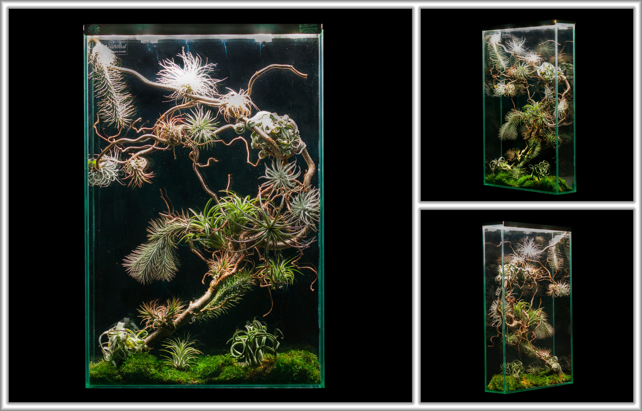 compact biophilic glass panel with integrated plant composition