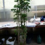 glass botanical panel with preserved plants composition