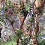 glass botanical panel with preserved plants composition