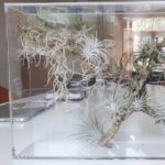 transparent glass panel with preserved plants in interior space